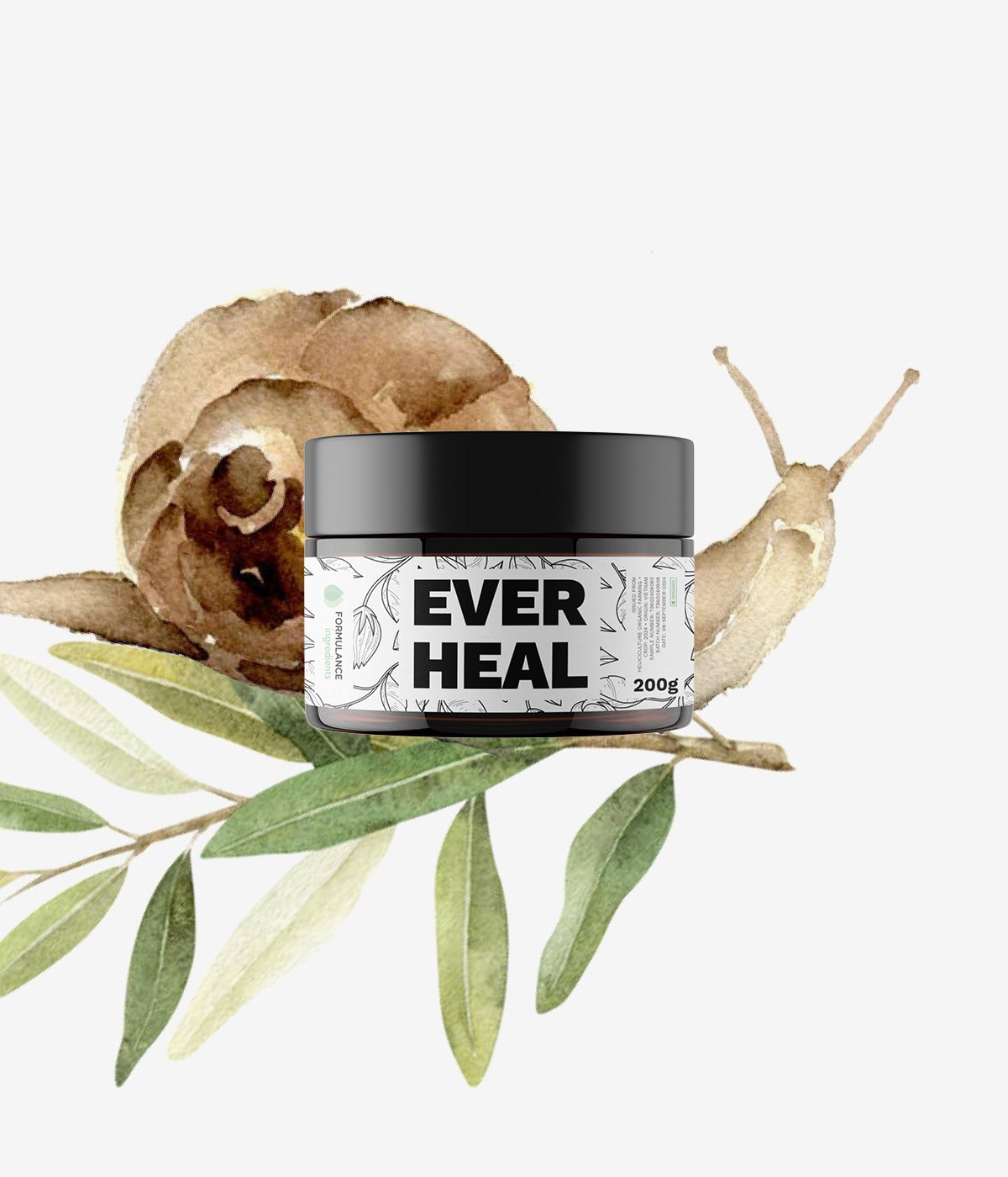 everheal-mockup
